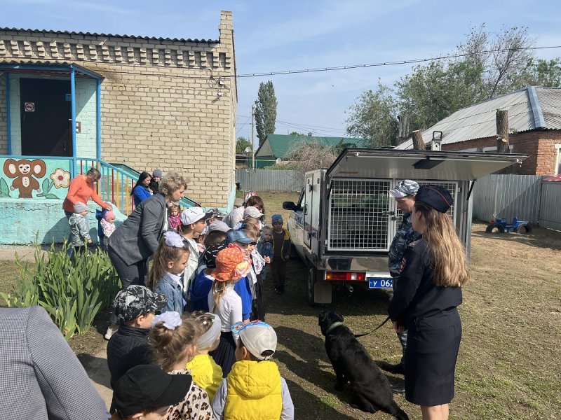 Дошкольники Краснокутского района узнали о рабочих буднях полицейских.